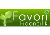Favori Fidancılık