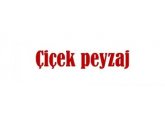 Çiçek Peyzaj