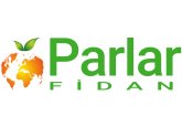Parlar Fidan
