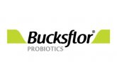 Bucksflor